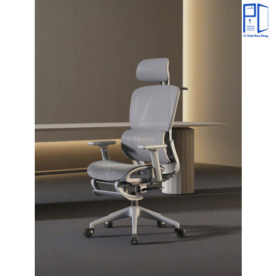 Ghế công thái học